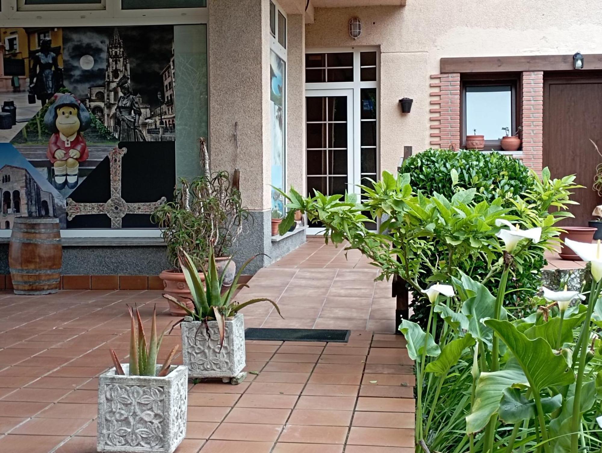 Apartamento L'Antojana del Cuera San Roque del Acebal Exterior foto